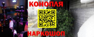 ECSTASY Канаш