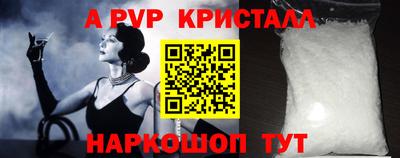 ECSTASY Канаш
