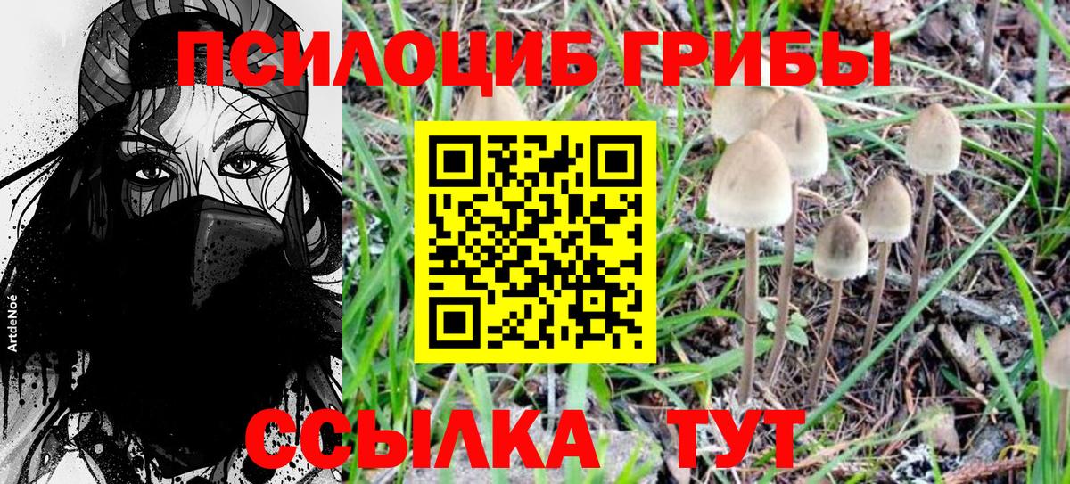 Галлюциногенные грибы MAGIC MUSHROOMS Кудрово